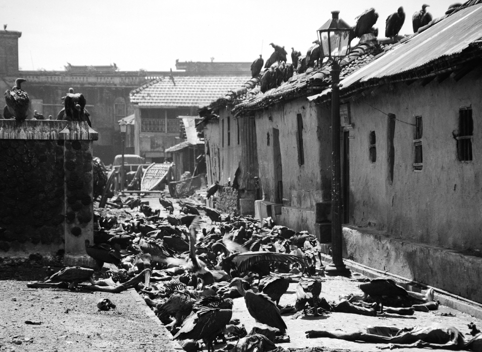 subhendu bhattacharya tweet media