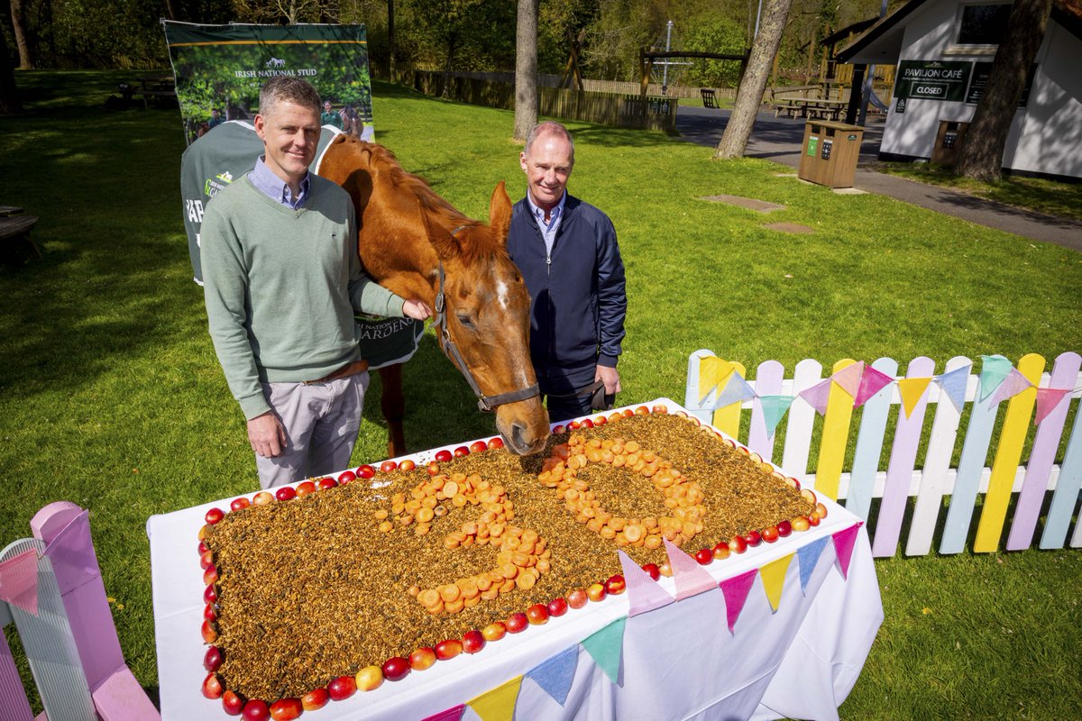 Irish National Stud tweet media
