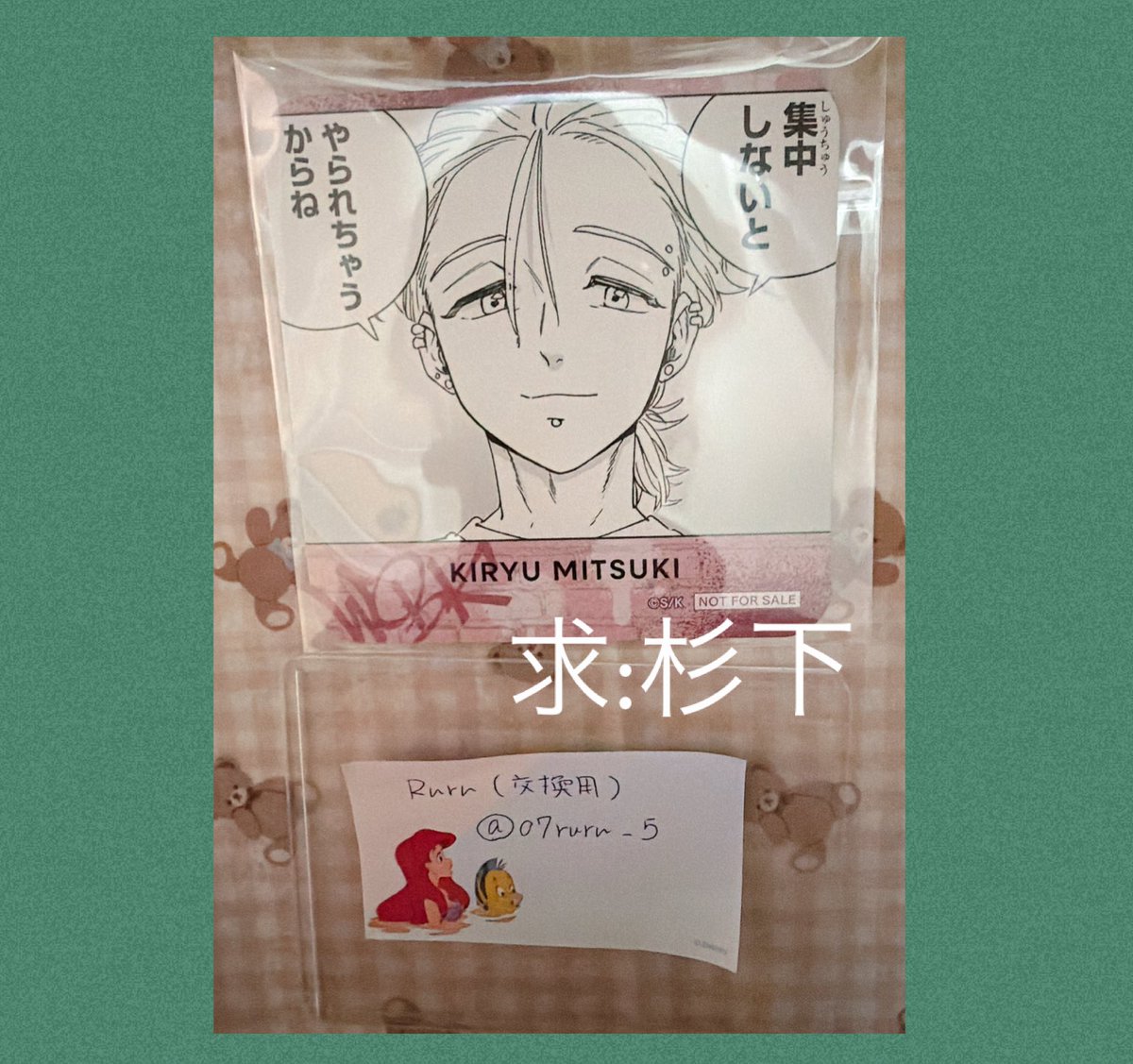 Ruru(交換用) tweet media