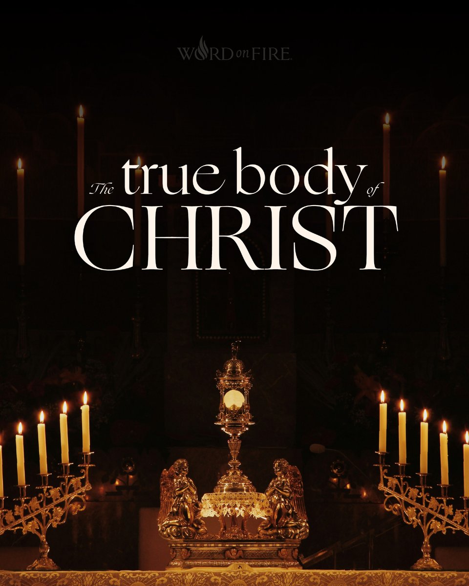 Bishop Robert Barron tweet media