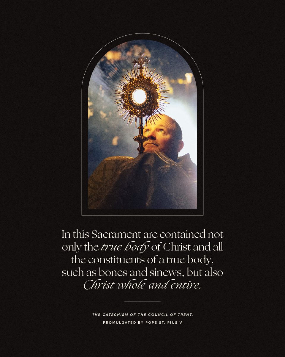 Bishop Robert Barron tweet media