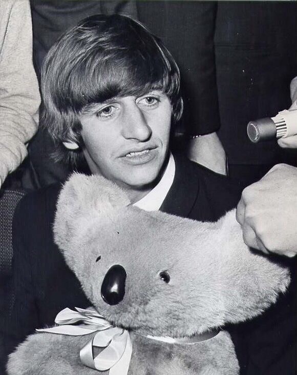 SILVERHAMMERED_'s tweet photo. Ringo Starr holding a stuffed koala toy that was given to him during a chaotic press stop at San Francisco International Airport when he was on his way to Australia to rejoin the beatles during their world tour after being hospitalised in London with tonsillitis, June 12-13 1964. https://t.co/gymus5CMYM