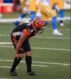 obscure bengals tweet media