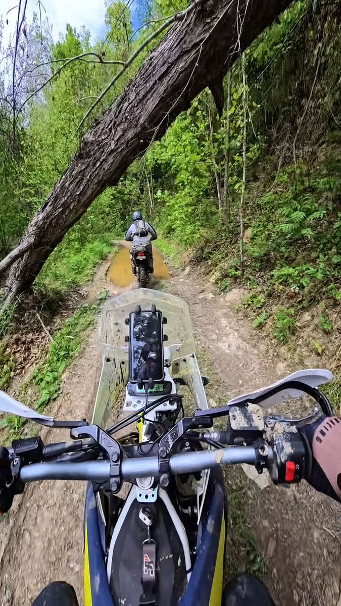 RTiPower's tweet photo. #Husqvarna #701Enduro #WestVirginia #AlmostHeaven #DualSport https://t.co/DioH8YnJsM