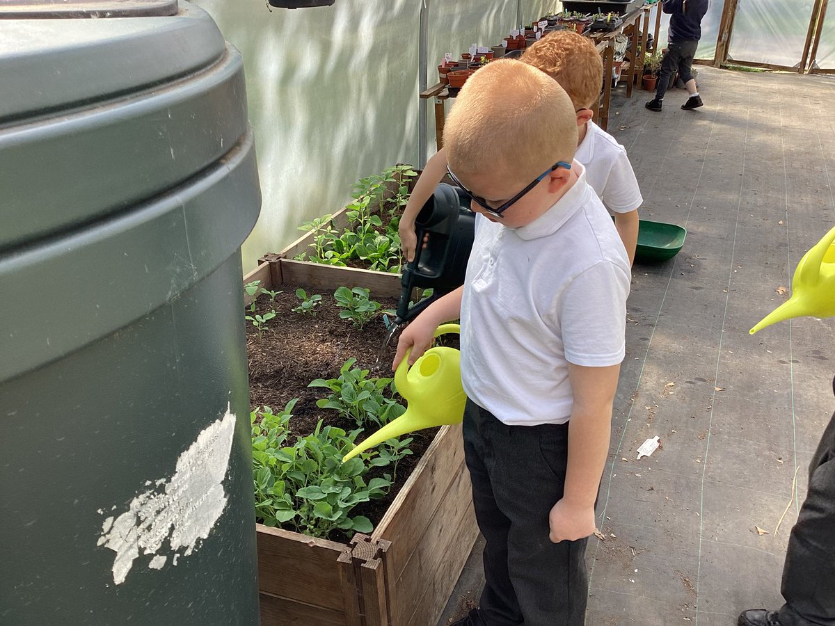 Yew Tree Primary School tweet media