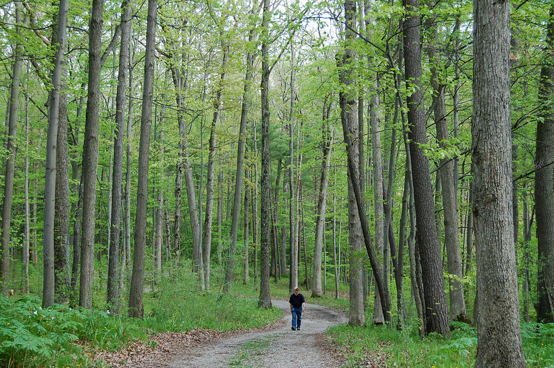 Grand River Conservation Authority tweet media