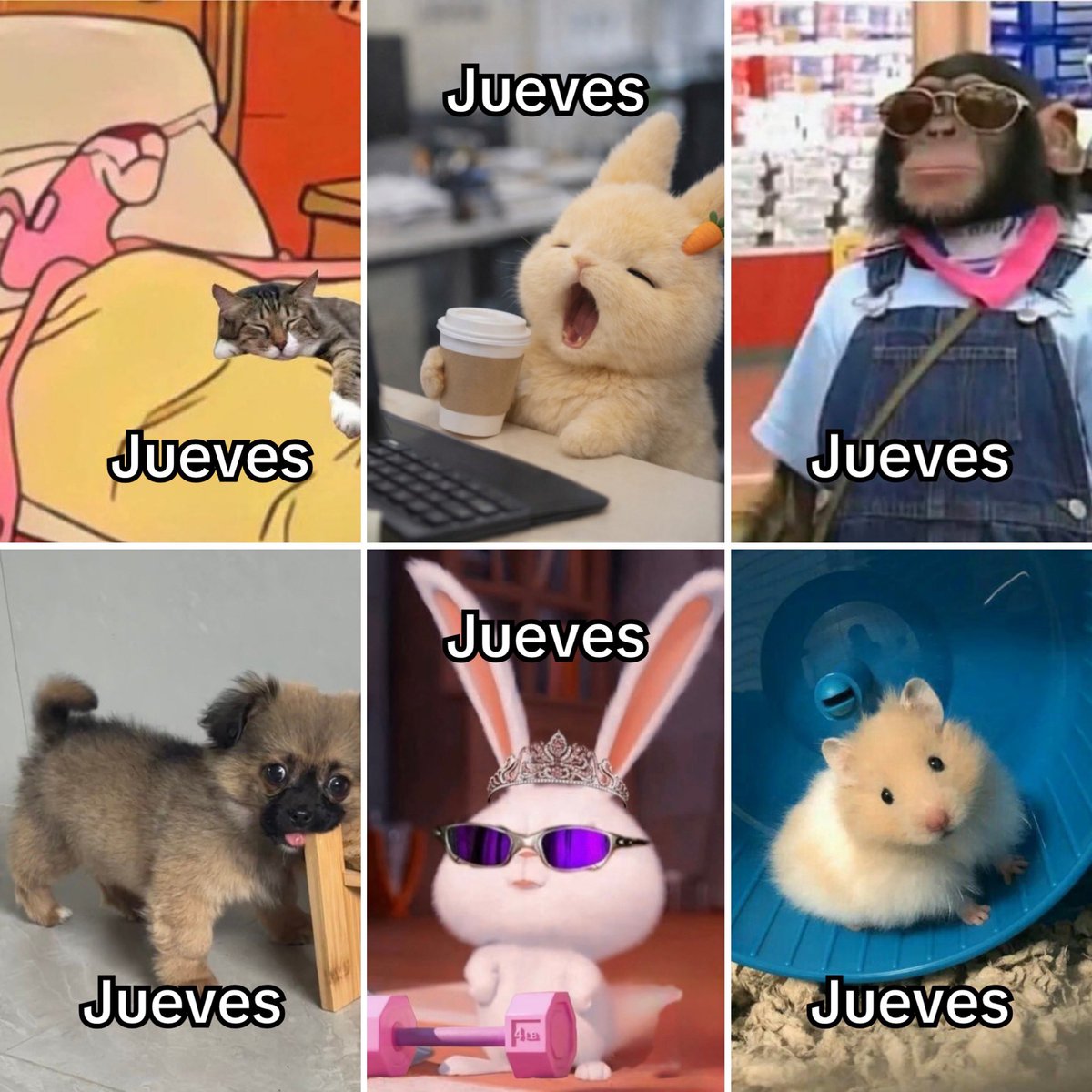 El Guarromántico tweet media
