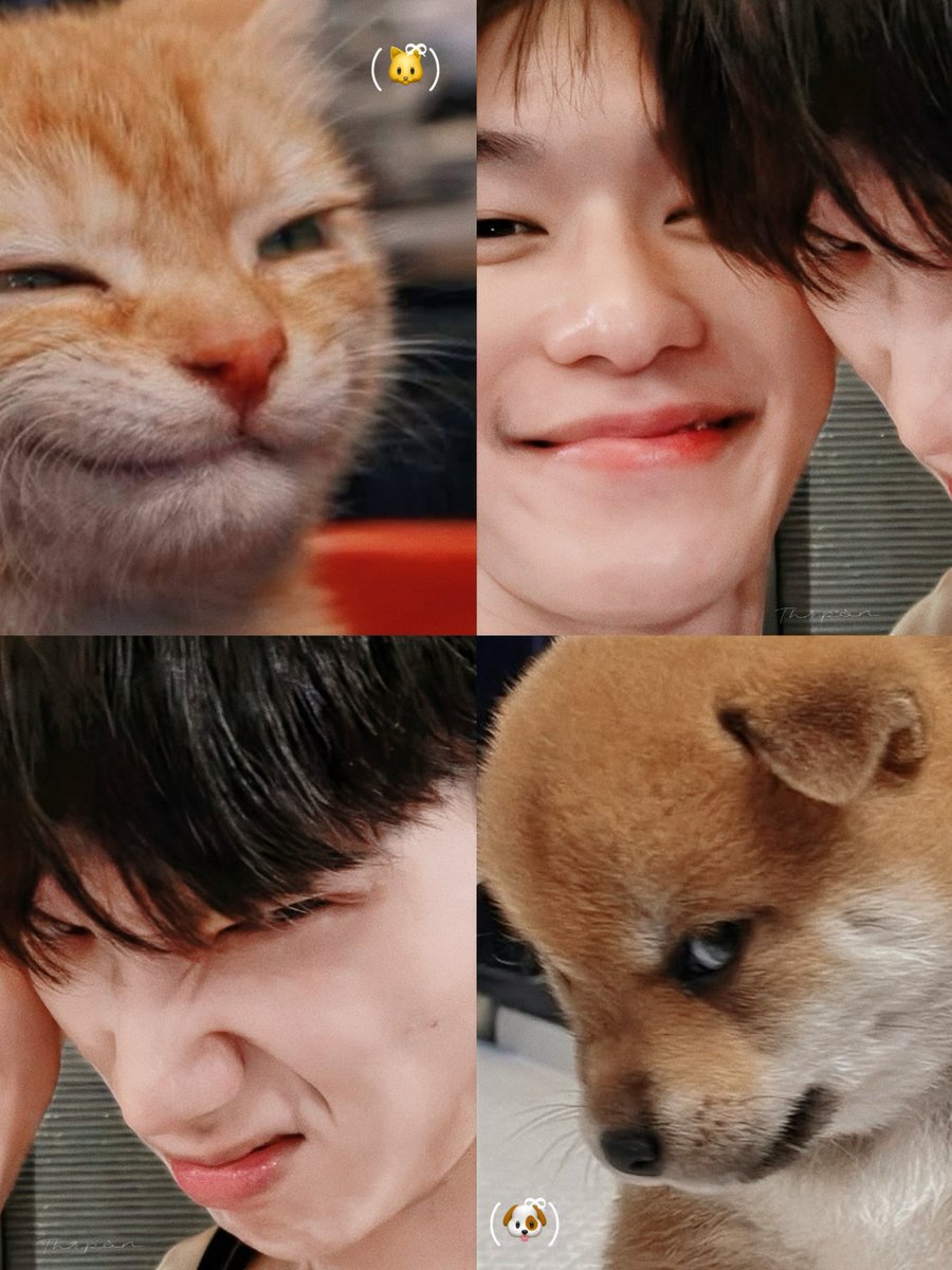อยู่กับฉันเค้าหวานกว่าา - 𝘋𝘢𝘰𝘶

#ต้าห์อู๋ออฟโรด #DaouOffroad  𓂃۶ৎ
