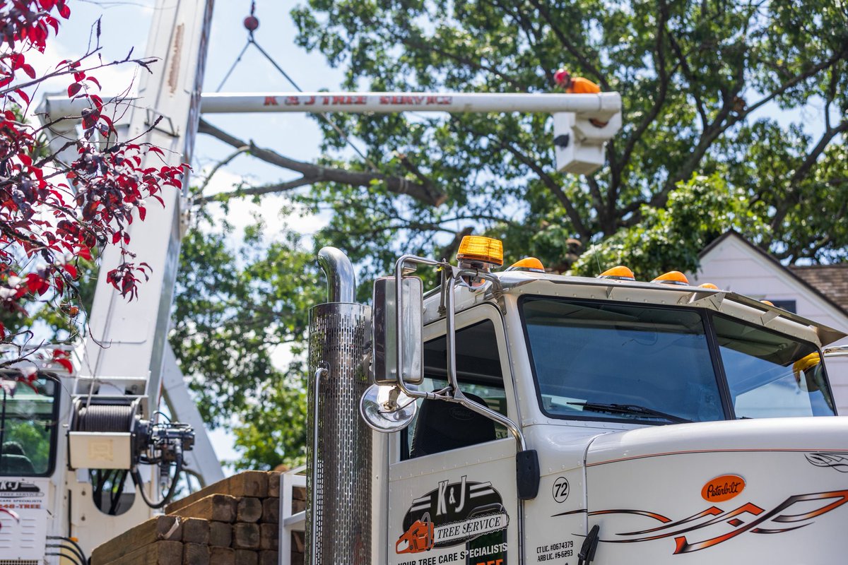 K&J Tree Service tweet media
