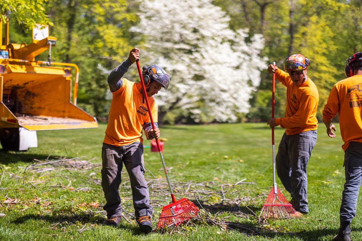K&J Tree Service tweet media