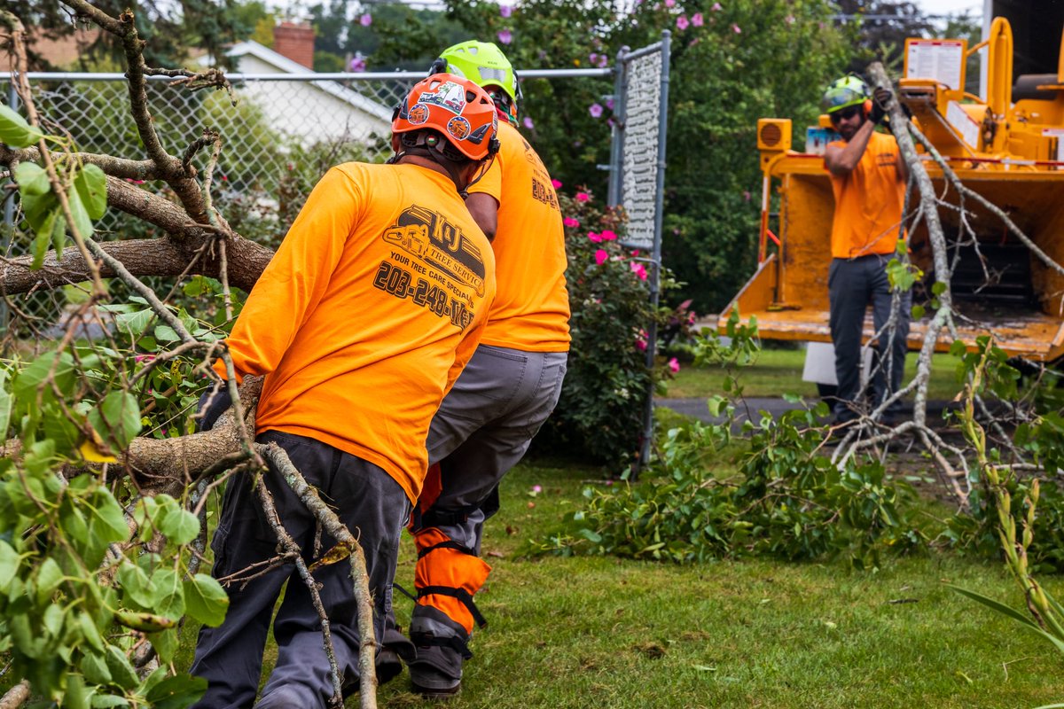 K&J Tree Service tweet media