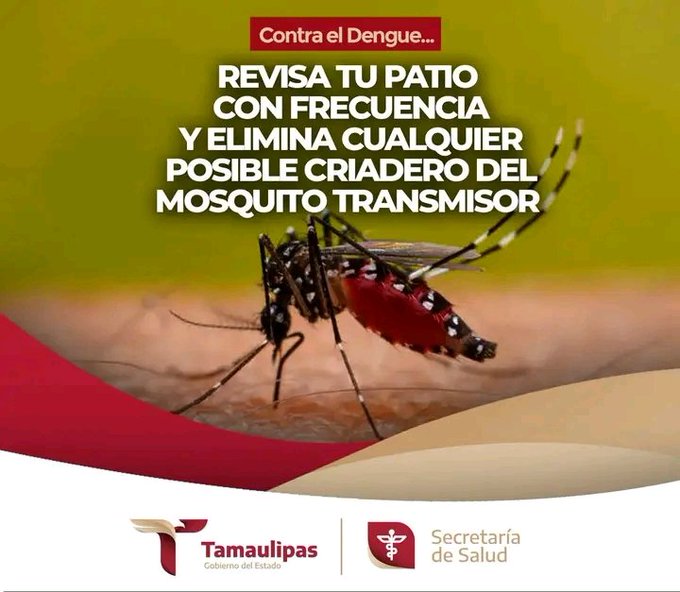 Elimina los Criaderos 
Cuida tu Salud y la de los demás 
#CubaPorLaVida