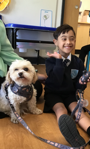 therookeries's tweet image. A very special visitor stopped by today 🐶💛 Our learners were treated to a heartwarming session with Gilly the dog, helping them build confidence, empathy, and a love for learning.Moments like these make all the difference ✨📚 #confidence #communication