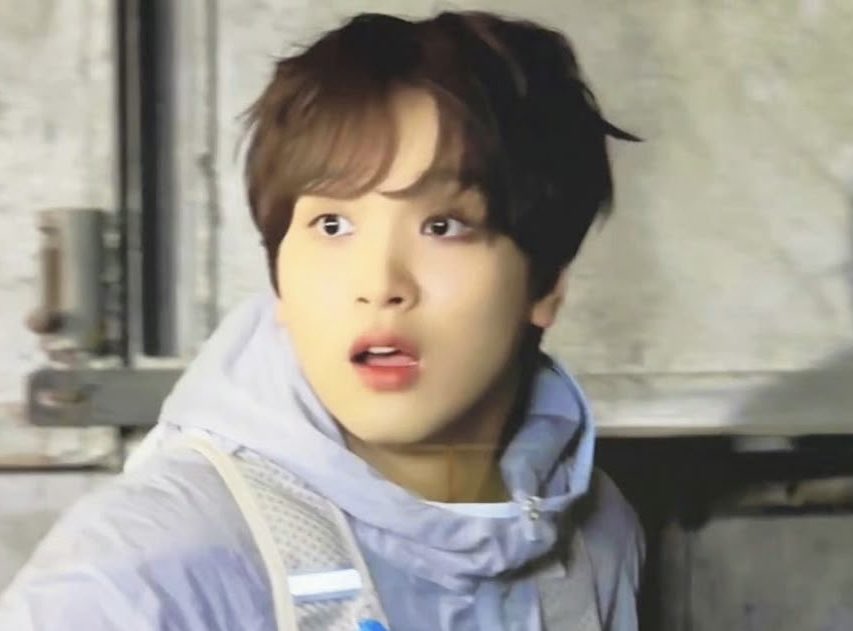 곰쮜 tweet media