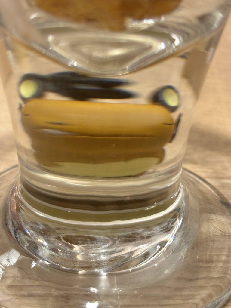 ハロ🦀✂️ tweet media