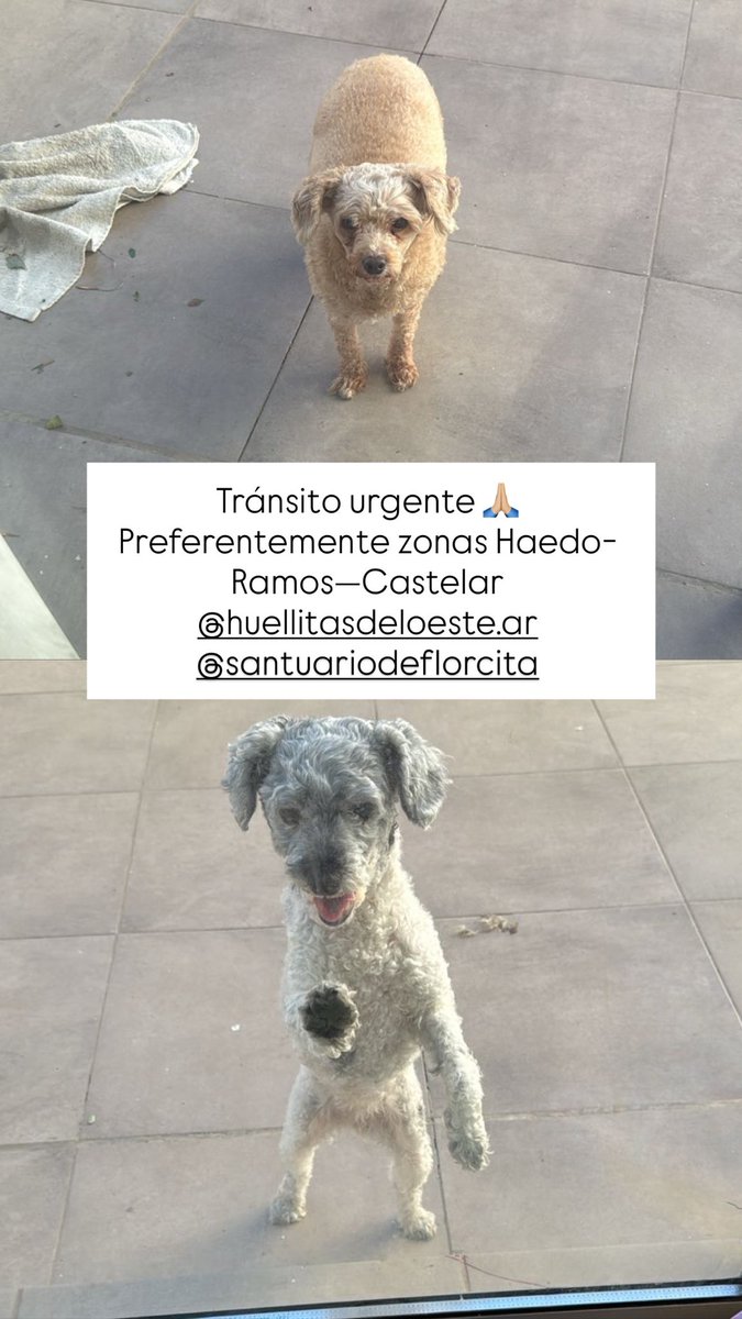 laura santa cruz tweet media