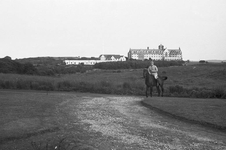 Your Potluck: Living on Long Island's East End tweet media