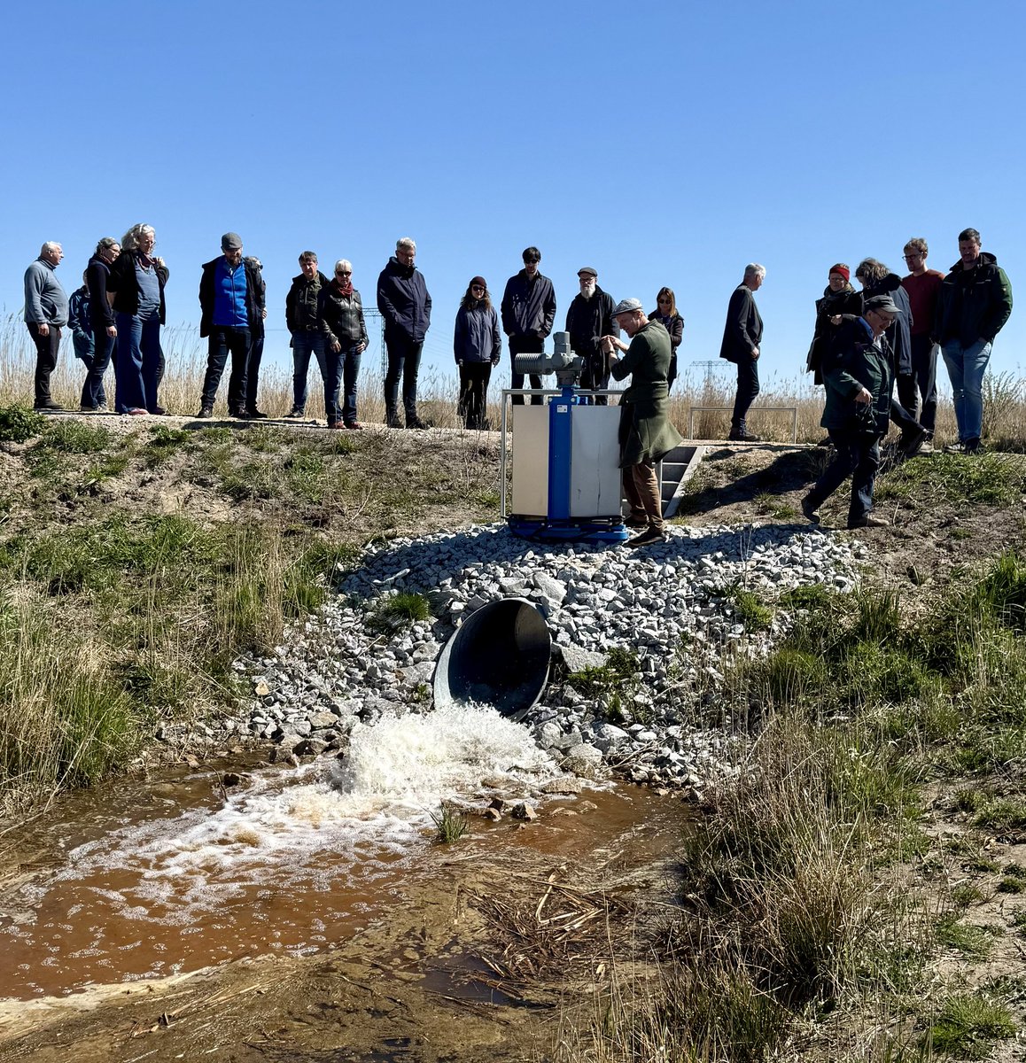 thomasdiener's tweet image. Flächenbesichtigung des Agrarausschusses MV im Polder Bargischow Süd bei Anklam und Vorstellung der Aktivitäten zu den Vorhaben weiteren Paludikultur Maßnahmen... "wir fluten Mecklenburg-Vorpommern"...💦💧🦟🤷‍♂️
#moor #ostsee #landwirtschaft #Wiedervernässung #klimaschutz #mv