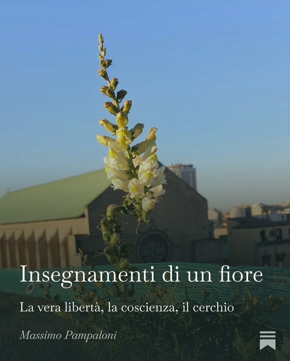 massimo_sj's tweet photo. La forza della libertà parte da dentro https://t.co/Y43ChF4bQz https://t.co/YLUDkfPvFC
