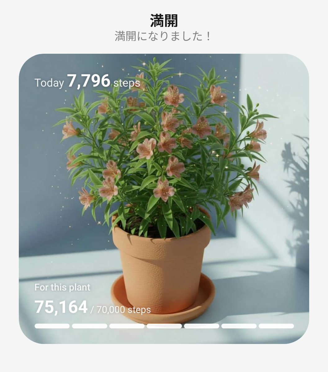 予想通り今月中に満開になりました
アルストロメリア！