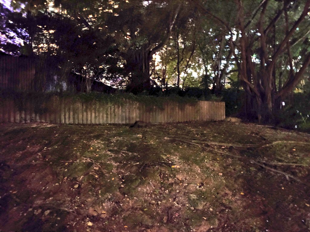 ほしと tweet media