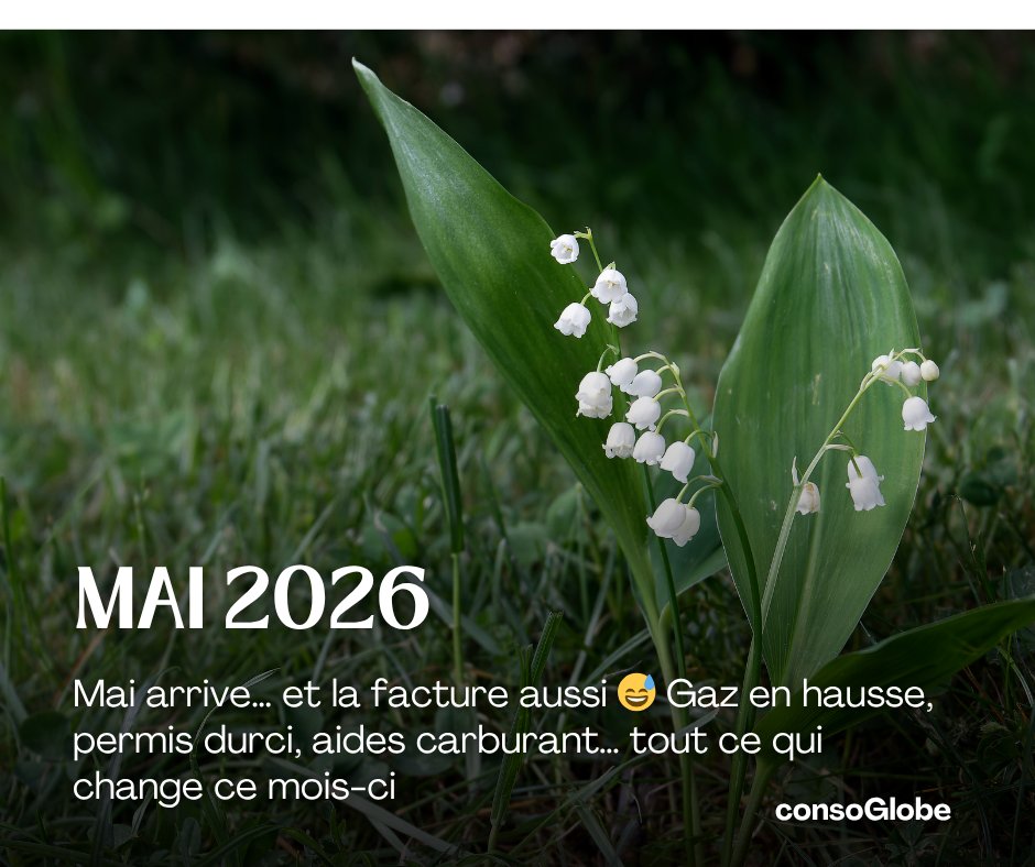 consoGlobe.com tweet media
