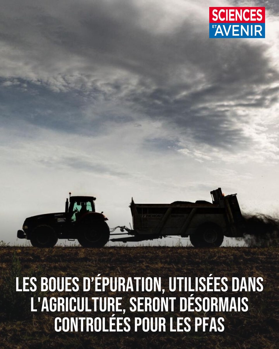 Sciences et Avenir tweet media