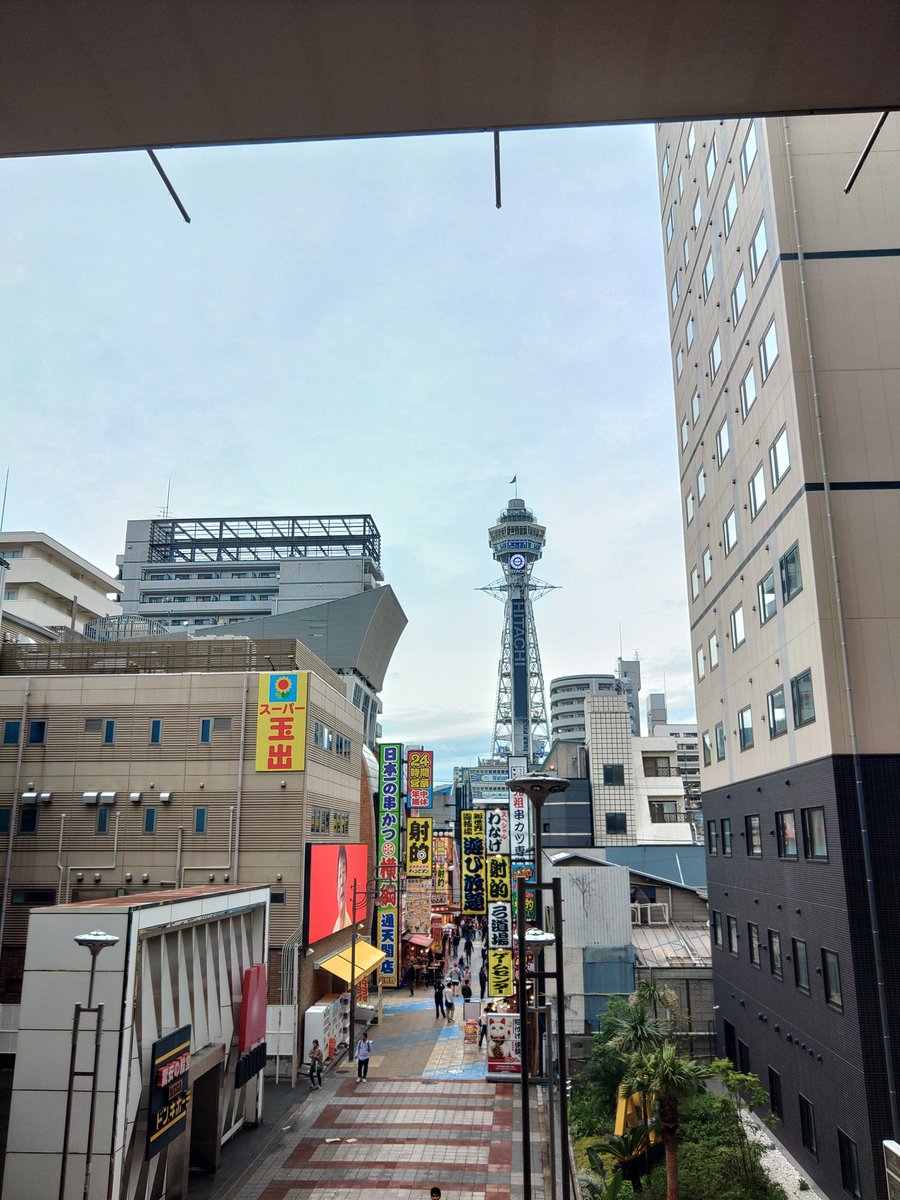 キョウ tweet media