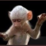 تطبيق نينجا🥷🏻 tweet media