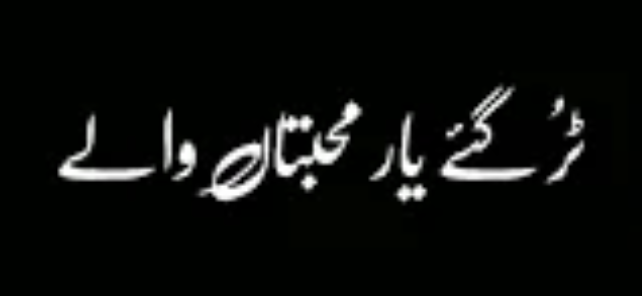  tweet media