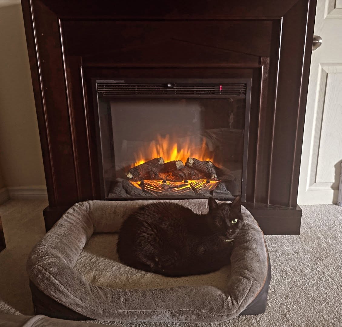 HHurlover's tweet image. Someone is enjoying the new fireplace 📷 #fireplace #enjoyment #hurleymccuaig #blackcatsofinstagram