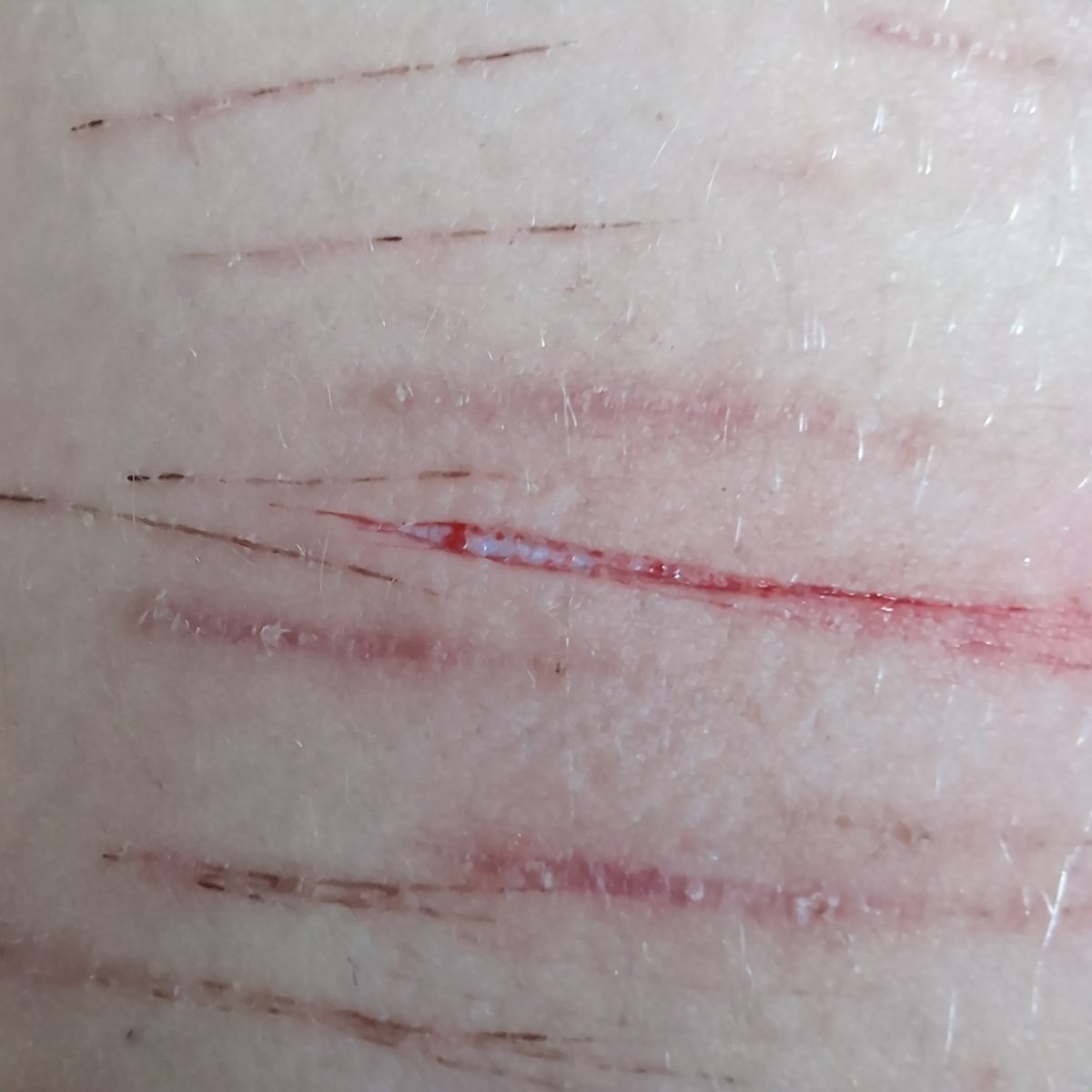 TrollChat168634's tweet photo. #FAKESFX FAKE FAKE EVERYTHING FAKE
Pretty baby styro kinda ugly at the end. #shtwt https://t.co/oTUp3hCGAB
