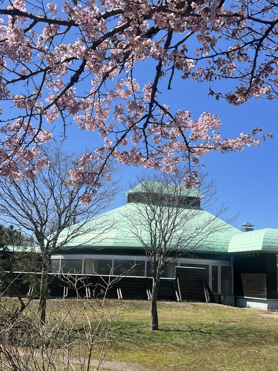 社協浜益支所だより｜大村紗季 tweet media