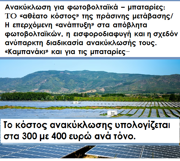 Terez tweet media