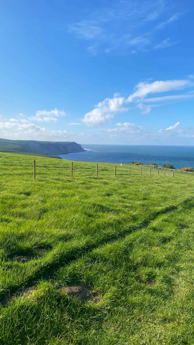 Postcard from Britain tweet media