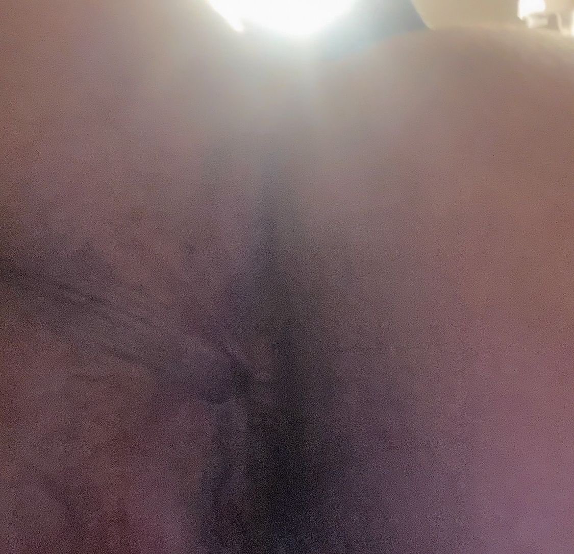 Noxlan 🐗🔞 tweet media
