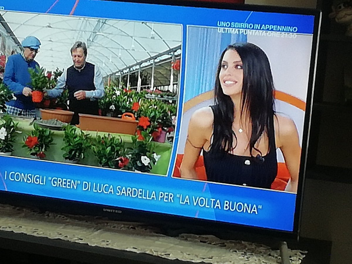 GiovannaDAles20's tweet image. Pollice verde di #Antonella, ha fatto resciuscitare un bonsai🪴 con Chanel n5🤣🤣🤣🤣🤣❤️ 
#fiorde #LVB @caterinabalivo