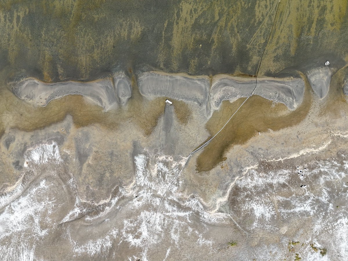 LilacCityDrone's tweet photo. Top-down over Soap Lake WA โ where mineral-rich waters meet patterns you can only see from above. Natureโs design is always better than anything we could plan.
#drone #dji #photography #lake #soaplake #dronephotography #Washington #easternwa https://t.co/lhFGb1etwT
