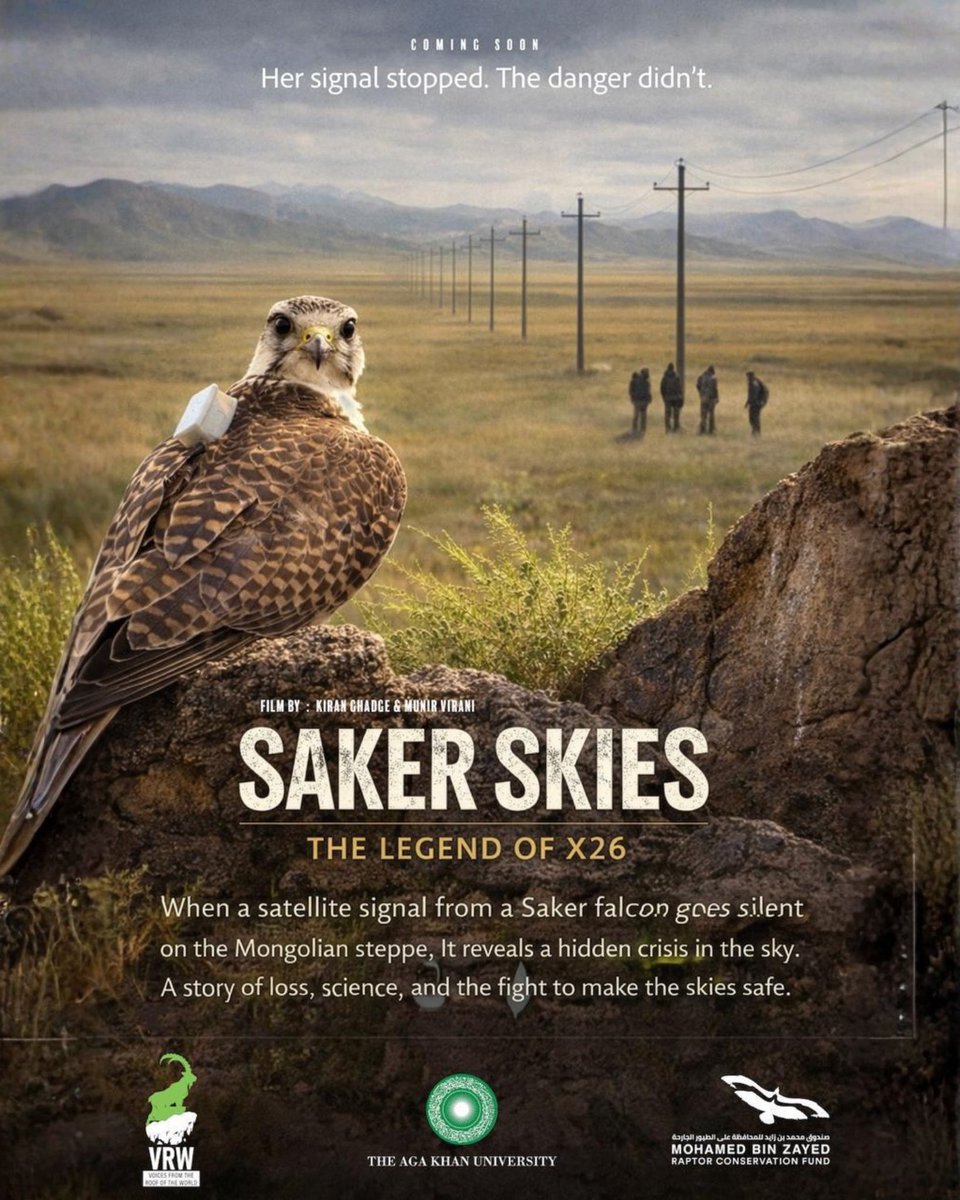 RaptorConservationFund tweet media