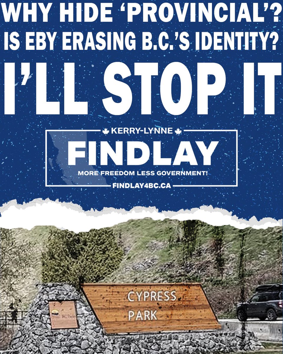 Kerry-Lynne Findlay tweet media