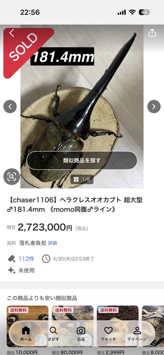 koki＠Titanus tweet media