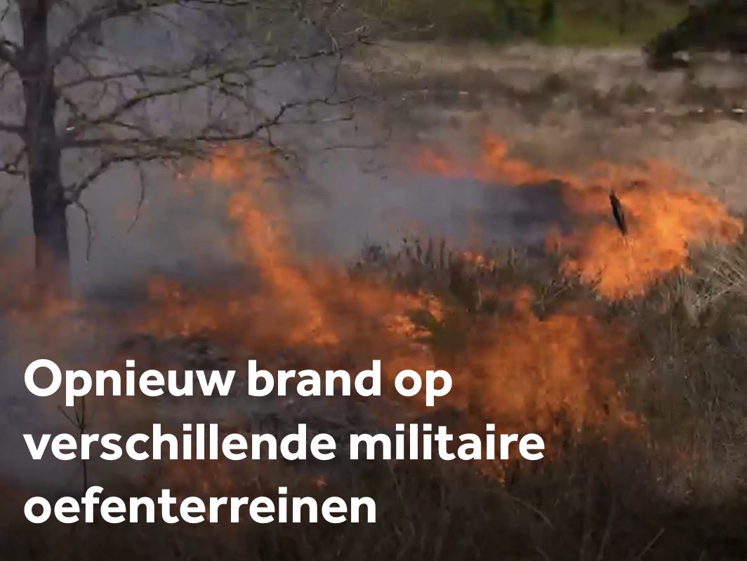 Michael vd Poel tweet media
