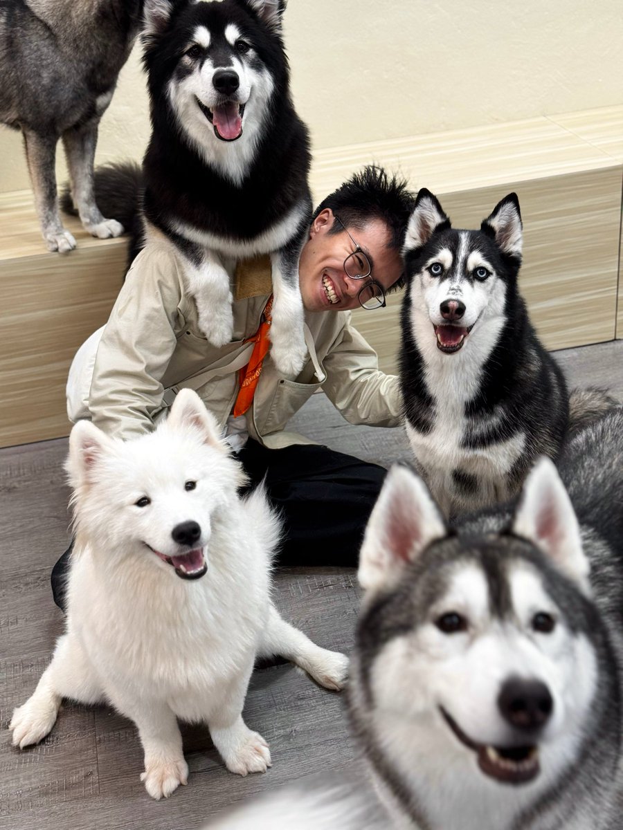 ConeyInu's tweet photo. Woof. Okay gud nite https://t.co/zoC067UWpU