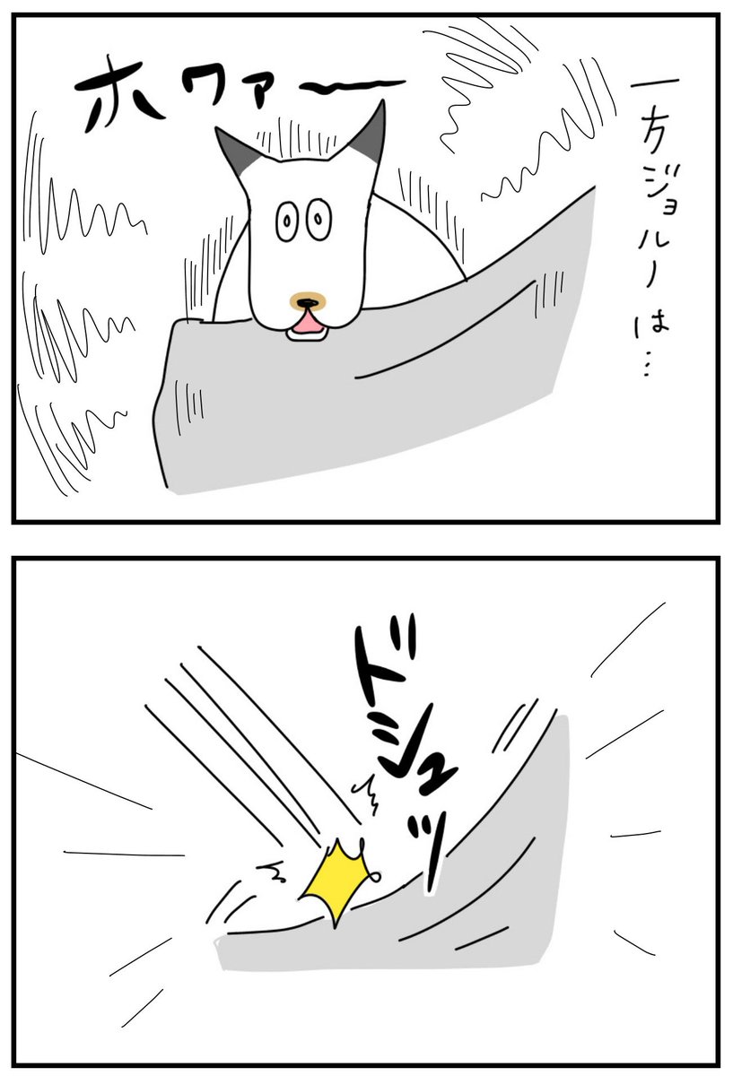 猫の抱っこ紐 