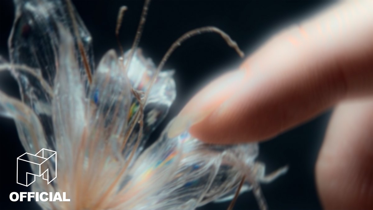 tripleS official tweet media