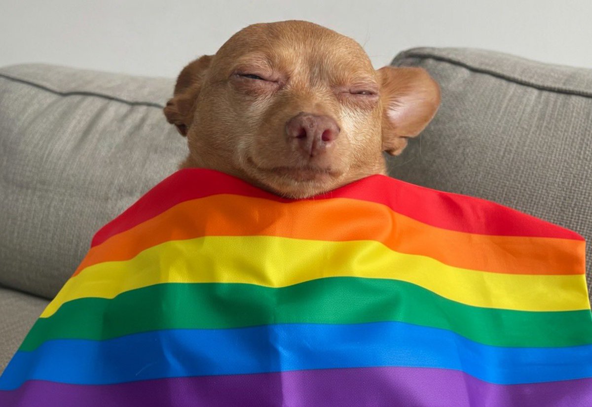 Deriko🇧🇪 tweet media