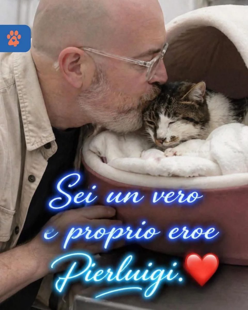 Susanna 🍓 Fragolina88😂 🇮🇹 tweet media