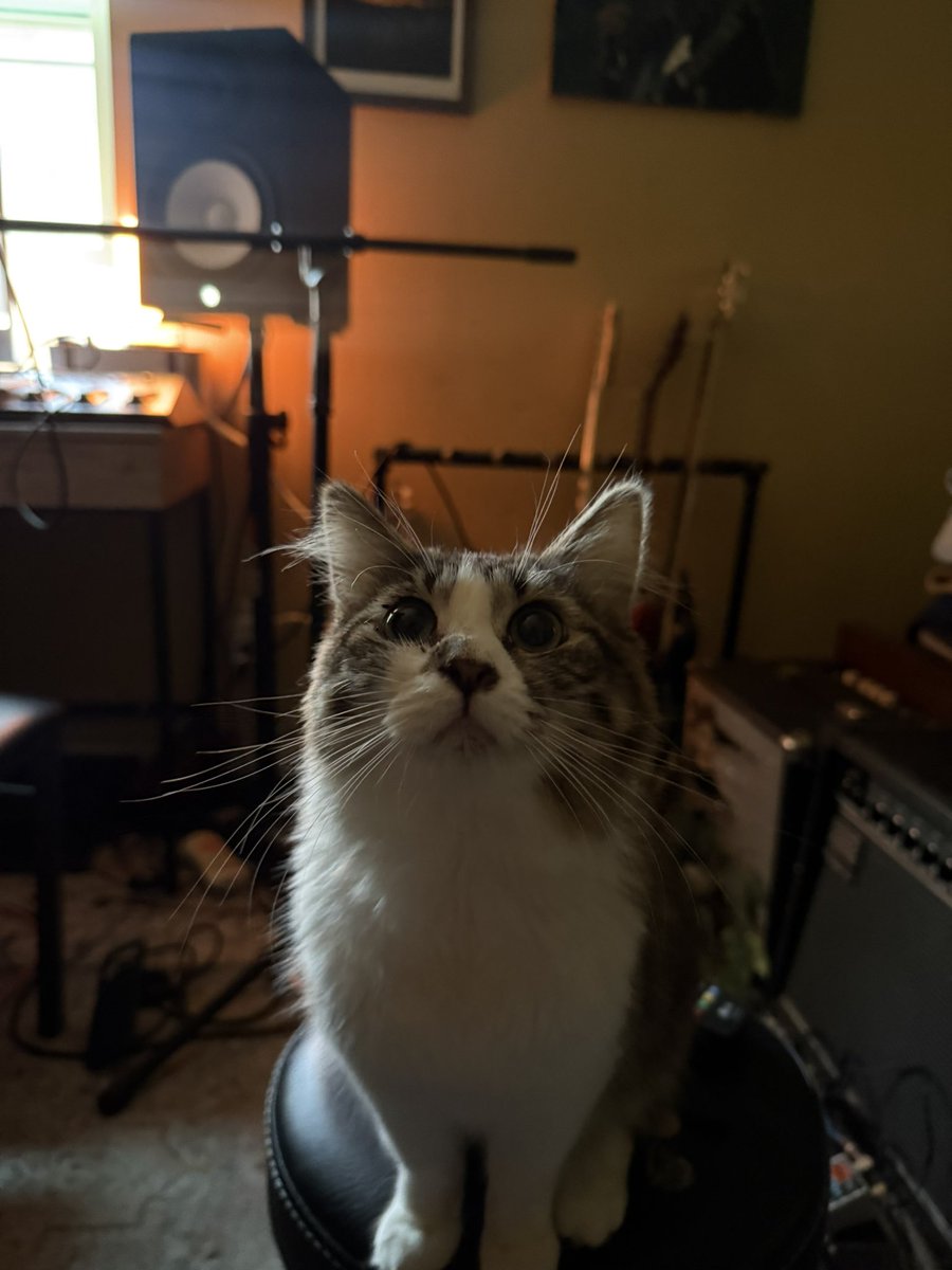 808midi's tweet photo. https://t.co/aZGS4oQCzA