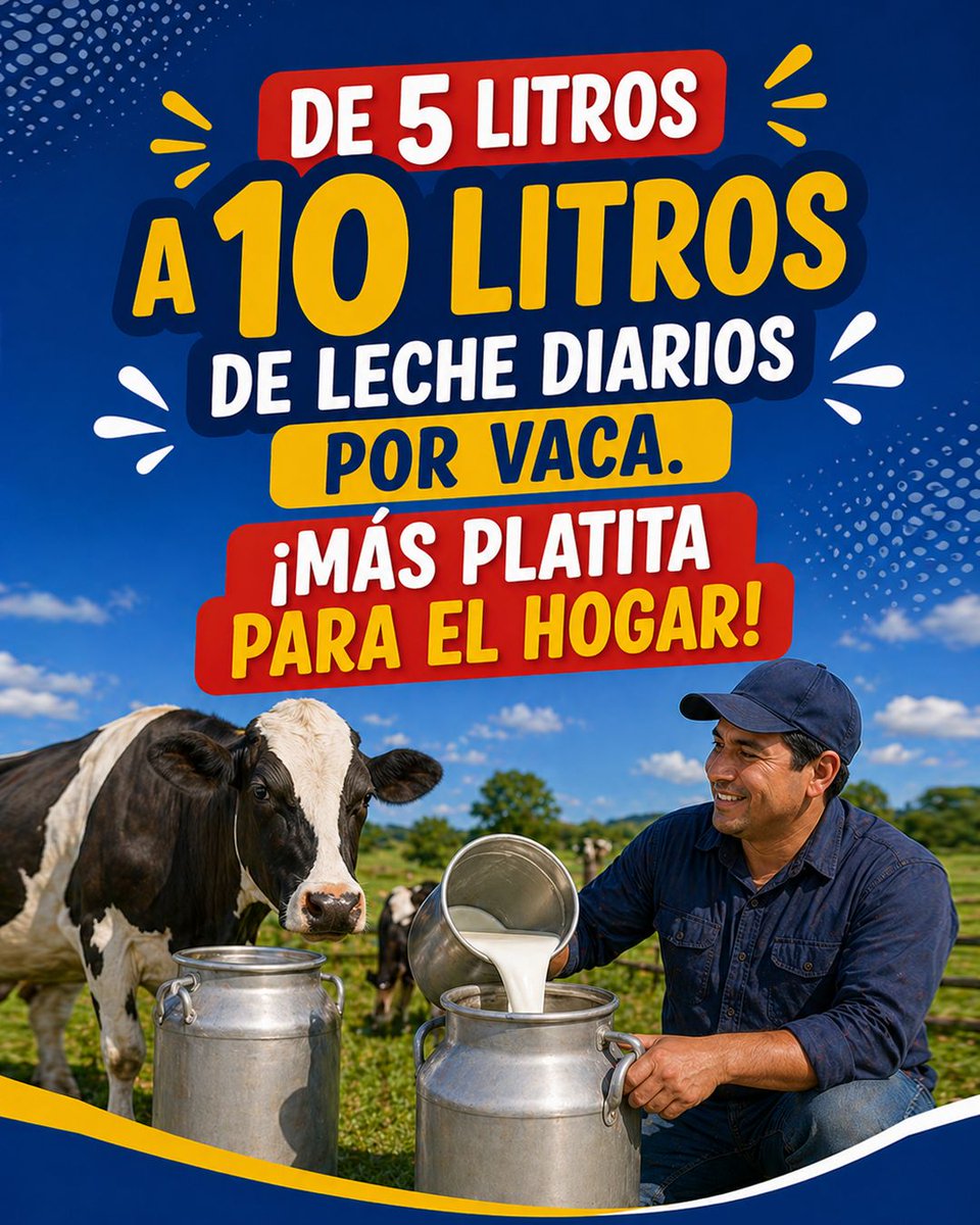 Clemente Bravo tweet media