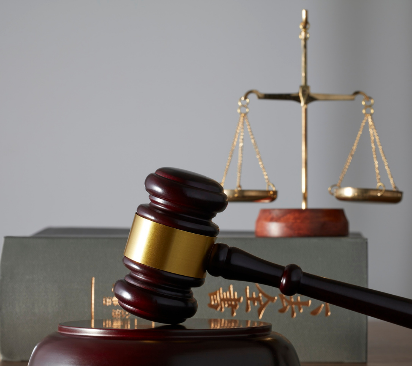 Tennessee Language Center tweet media
